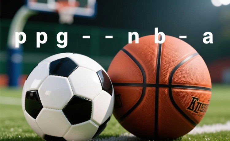 国产va免费高清在线观看官网